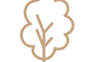 landscaping and tree